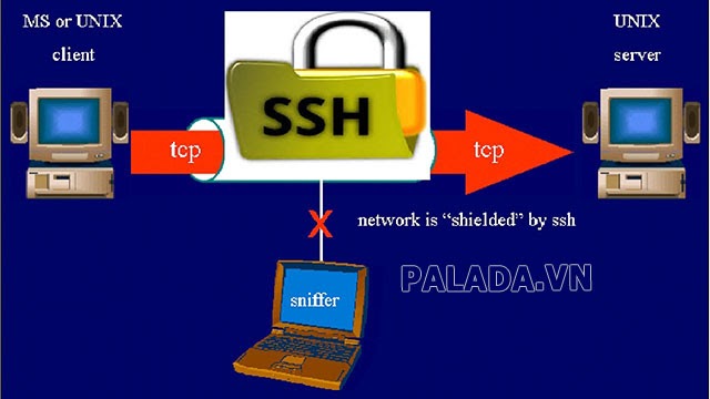 SSH phương thức quản lý thiết bị mạng an toàn ở cấp lệnh