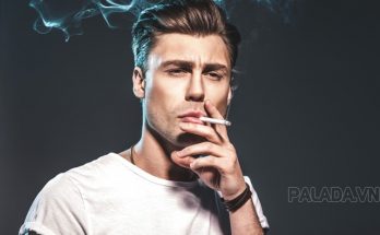 Tra nam là bad boy điển hình