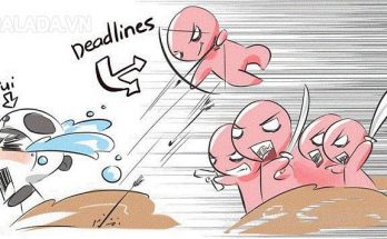 Deadline không bao giờ buông tha bạn!