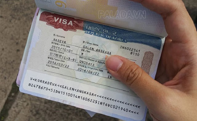 Visa dùng để nhập cảnh và lưu trú tại nước ngoài