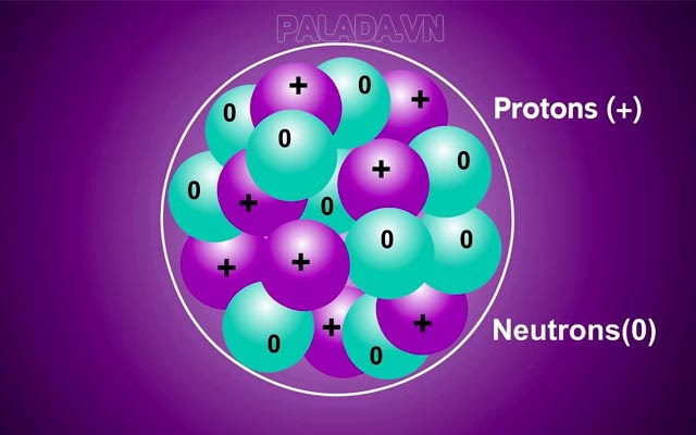 Hạt nhân nguyên tử được cấu tạo từ neutron và proton