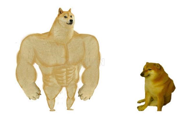 Swole Doge vs. Cheems