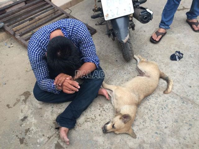 Trộm chó bị bắt sau khi đánh bả chó