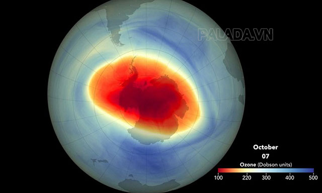 Biểu hiện của thủng tầng ozon
