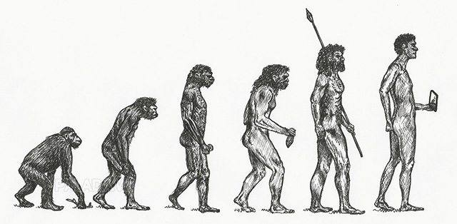 Các giai đoạn tiến hóa người tinh khôn