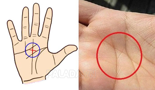 Đường chỉ tay chữ X giữa lòng bàn tay