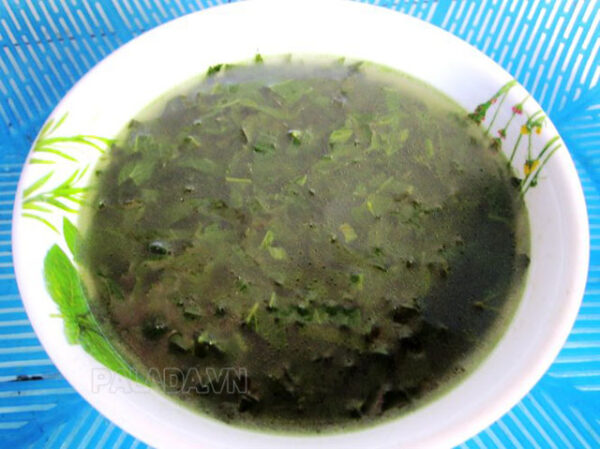 Cây đắng cảy là gì? Đặc điểm, tác dụng, chế biến cây đắng cảy - Thiết ...