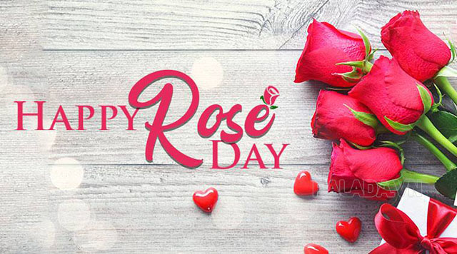 Ngày 14 tháng 5 Rose Day