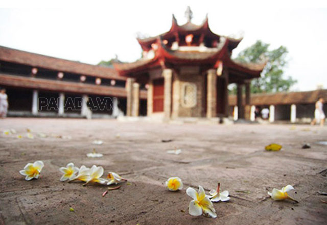 Hoa rơi cửa Phật