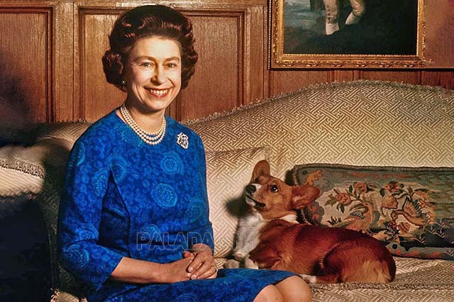 Nữ hoàng Elizabeth II đặc biệt yêu thích chó Corgi