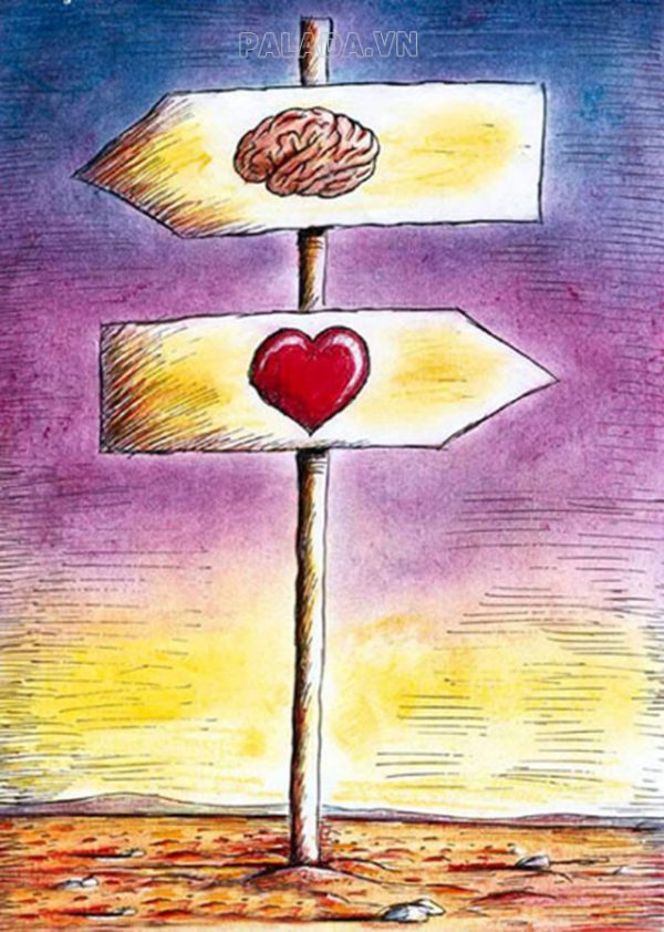 Lý trí là gì? Đặc điểm, biểu hiện của người sống lý trí