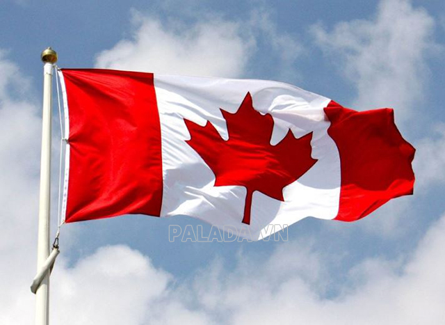Lá cờ của Canada có hình ảnh một lá phong màu đỏ