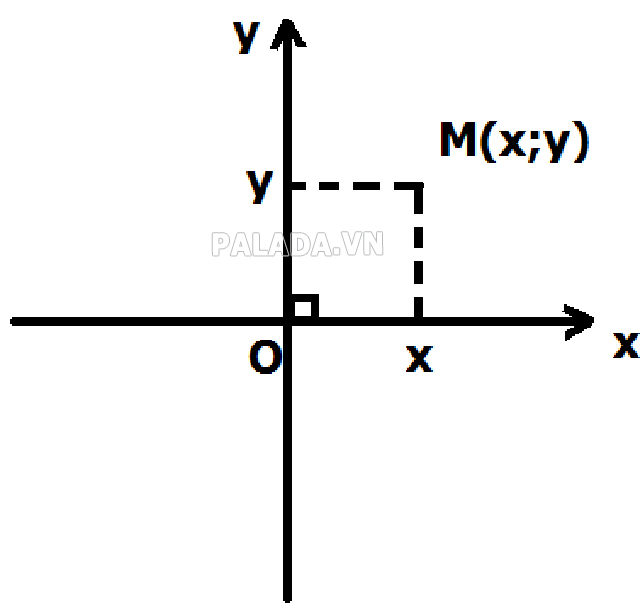 Trục tung và trục hoành dùng để xác định tọa độ của một điểm