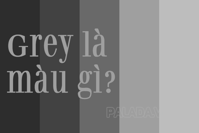 Màu Grey