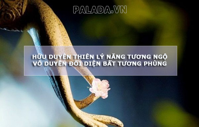 Nhân duyên không thể cưỡng cầu