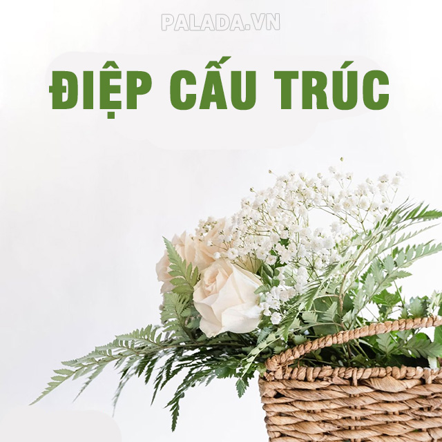 Điệp cấu trúc là lặp đi lặp lại một cấu trúc cú pháp với dụng ý nghệ thuật