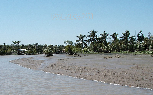 Đất phù sa sông và biển