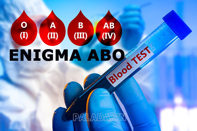Enigma abo liên quan đến hệ thống nhóm máu ABO và một loại máu hiếm