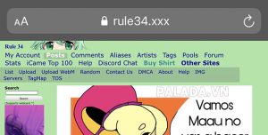 Rule 34 là gì? Luật 34 là gì? Nguồn gốc, sự phát triển rule 34