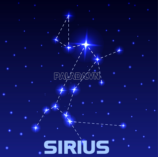 Sirius còn được biết đến với cái tên là Dog Star - sao con chó