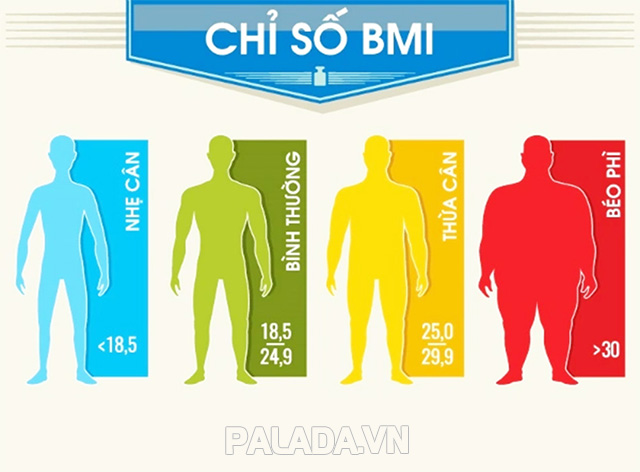 Dựa vào chỉ số BMI để đánh giá tình trạng cơ thể