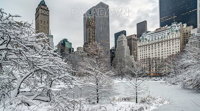Thời tiết những ngày đông lạnh giá tại thành phố New York của Mỹ