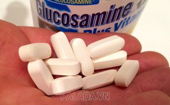 Glucosamine là một trong những thành phần cấu tạo nên sụn khớp