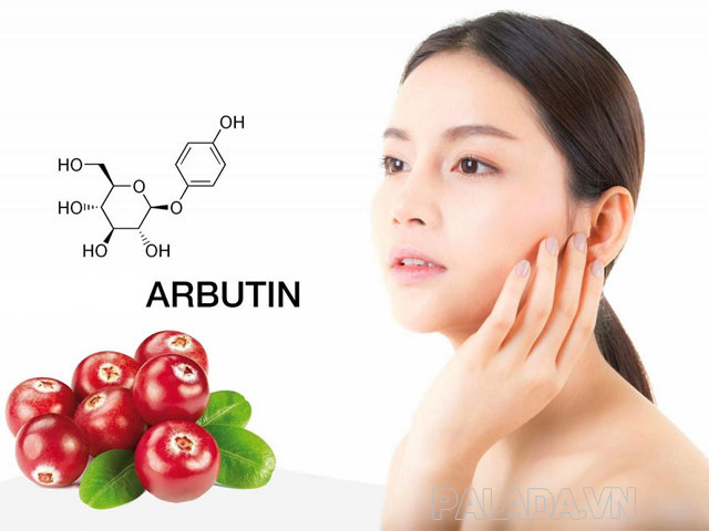 Arbutin là thành phần có khả năng làm trắng da hiệu quả