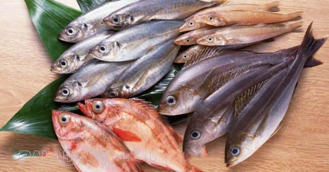 Một số loại cá biển bị nhiễm thủy ngân khi ăn phải có các dấu hiệu dị cảm, loạn ngôn, suy nhược thần kinh,...