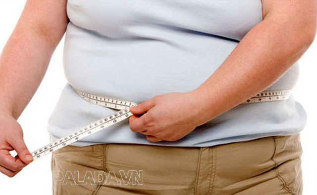Ăn quá nhiều đường phèn làm tăng nguy cơ gây béo phì