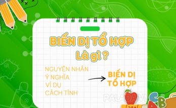 Biến dị tổ hợp là hình thức tổ hợp lại toàn bộ tính trạng của bố và mẹ trong quá trình sinh sản