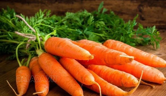 Những vitamin/thành phần có trong 1 củ cà rốt
