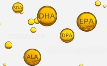 DHA là một loại axit béo không no thuộc nhóm axit béo Omega-3