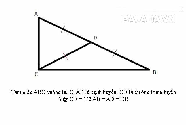 Ví dụ về đường trung tuyến CD trong tam giác ABC vuông tại C
