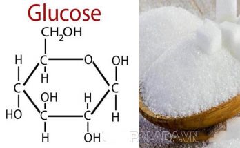 Glucose hay còn được gọi là đường