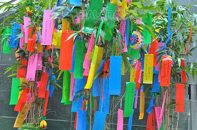 Những mảnh giấy đầy màu sắc là nơi gửi gắm những ước mơ của người dân Nhật Bản vào dịp lễ Thất tịch