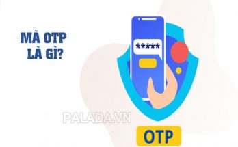 Mã pin OTP là gì?