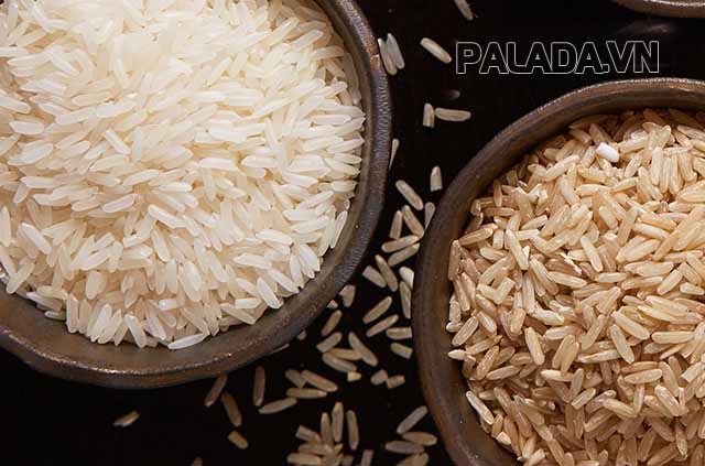 Sự khác biệt cơ bản về màu sắc bên ngoài giữa gạo lứt và gạo thường