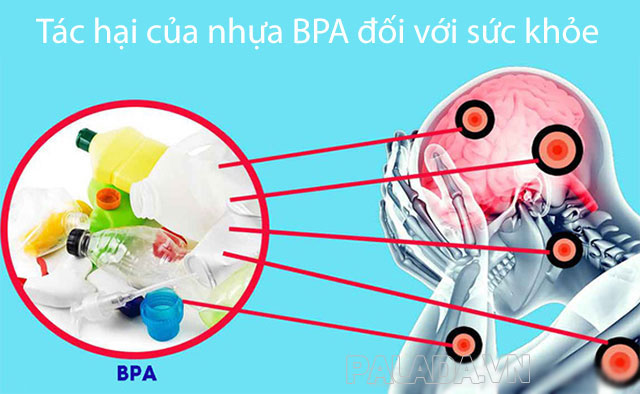 Tác hại nghiêm trọng của BPA đối với sức khỏe