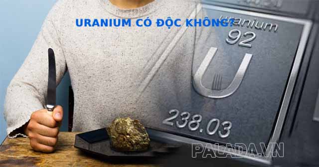 Uranium vô cùng độc hại